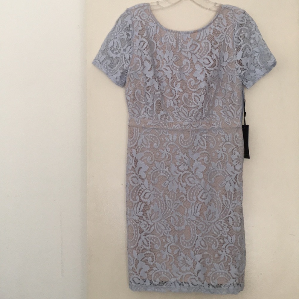 Lace Blue Nude Dress with back details